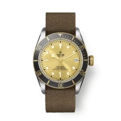 Black Bay S&amp;G champagne dial