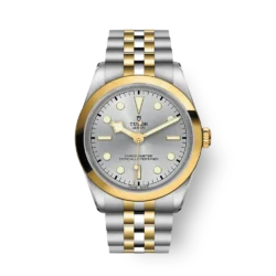 tudor Black Bay S&G argenté 36 mm m79643-0002