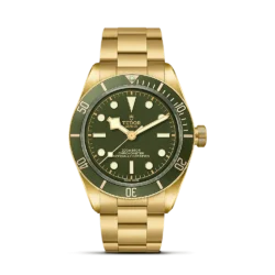 Montre Tudor Black Bay 58 - m79018v-0006