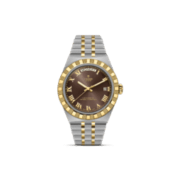 TUDOR ROYAL 40mm cadran marron bracelet 5 mailles acier et or